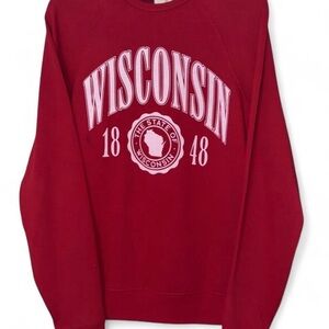 Wisconsin Red Men's Sweater